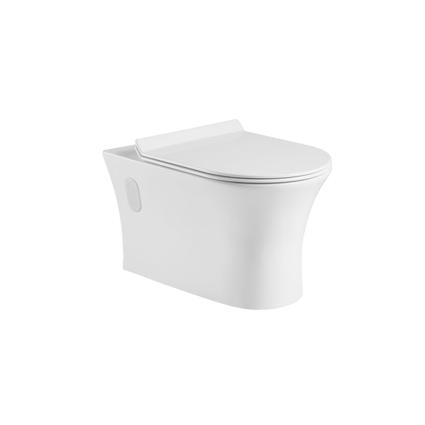 Wall mounted, D-shape, dual-flush toilet