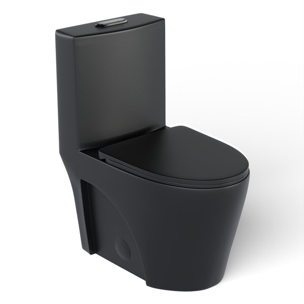 Matte black, one-piece, elongated, dual-flush toilet
