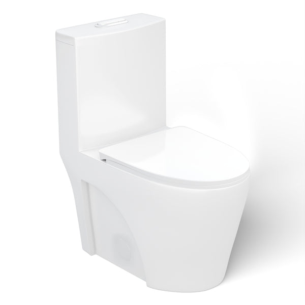 Matte white, one-piece, elongated, dual-flush toilet